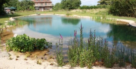 Как выбрать и купить пруд для загородного дома?